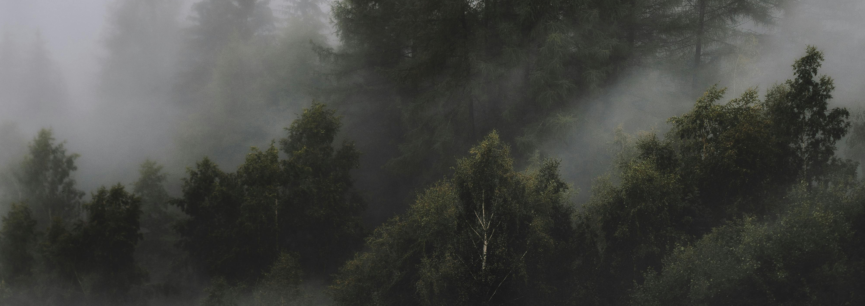 我們相信尊重是實現人與大自然共生的關鍵